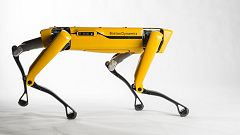 Un robot de Boston llama a tu puerta