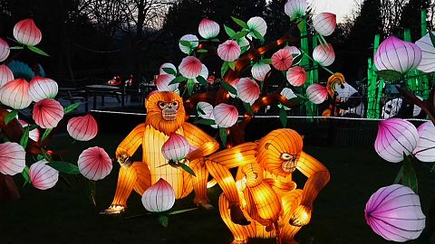 Tiere aus Lampions zum Chinesischen Neujahr