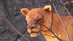 animals