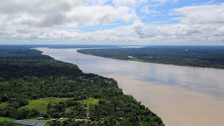 Fogos durante secas na Amazónia comprometem luta pelo clima