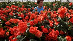 Día de San Valentín: para Rusia con amor de la UE
