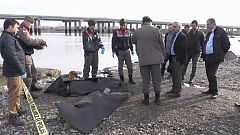 Турецкая семья утонула на пути в Грецию