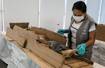 حل لغز "المومياء الصارخة"