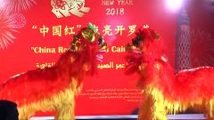 Le nouvel an chinois, sous le signe du chien