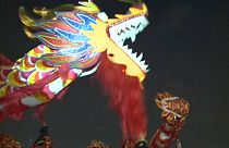 Köpek yılı kutlamaları başladı