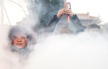 Bonne année du chien !