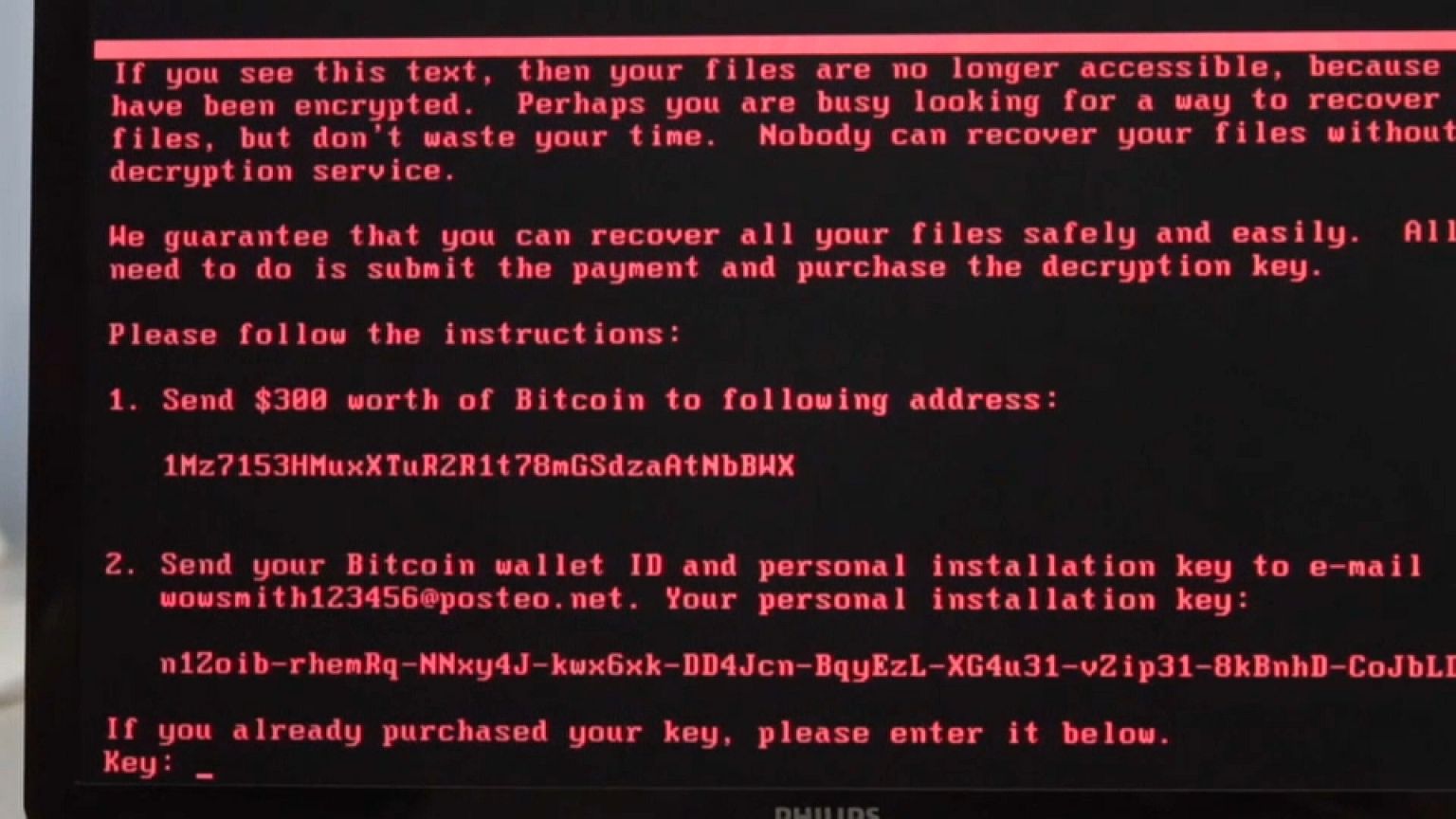  Белый Дом: Petya - дело рук Москвы