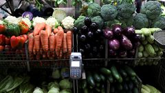 Venezuela, il momento di Vippo