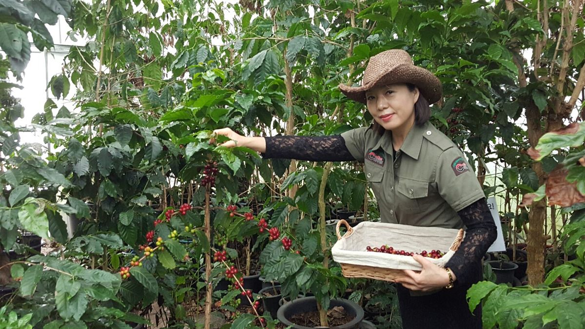 Meet the queen of the coffee capital of South Korea