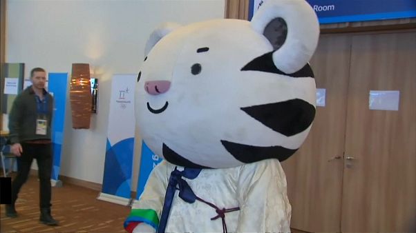 La mascota de los juegos de Pyeongchang "sufre" el acoso de los fans La mascota de los juegos de Pyeongchang "sufre" el acoso de los fans