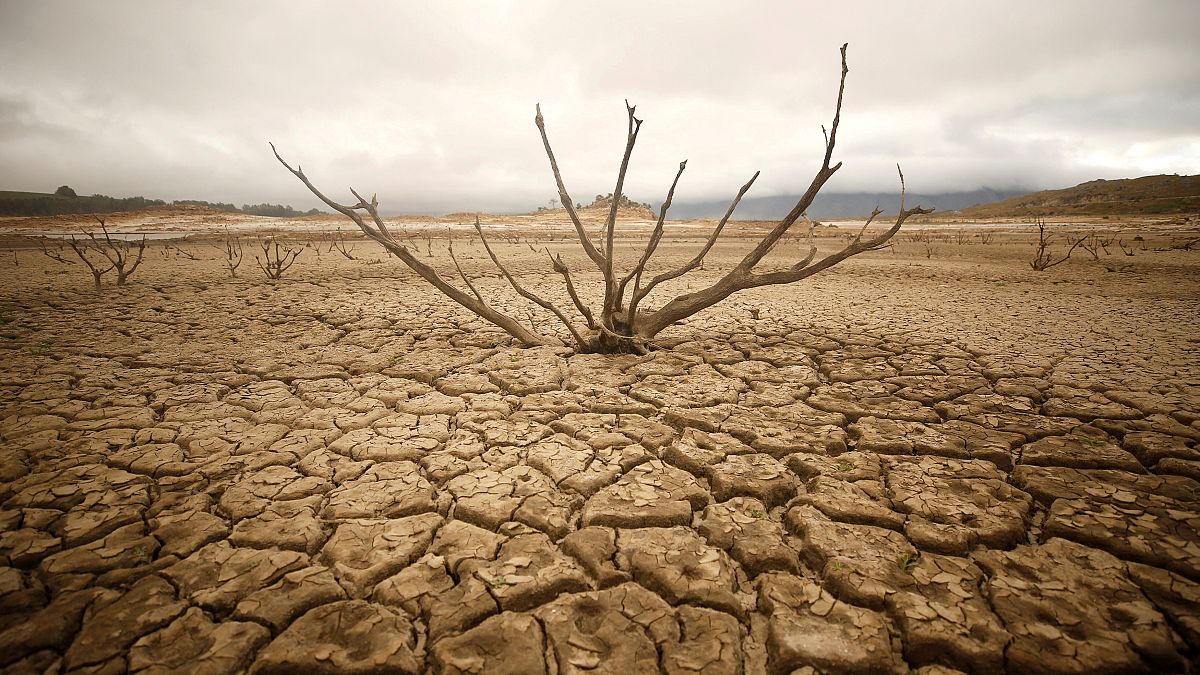 Güney Afrika'daki kuraklık kritik seviyesini sürdürüyor