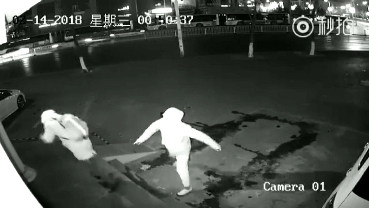 ماذا حل بلصيْن حاولا سرقة محل في شنغهاي؟ 
