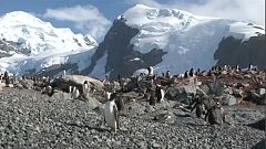Greenpeace e il "santuartio Antartico"