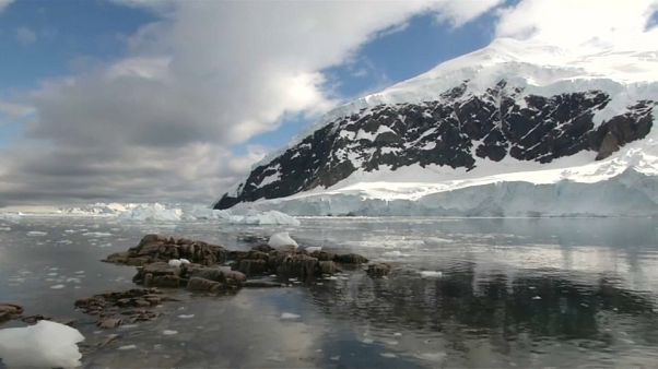 Greenpeace quiere un santuario marino en aguas de la Antártida Greenpeace quiere un santuario marino en aguas de la Antártida