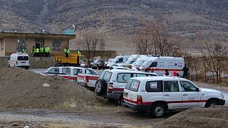 İran'da 66 kişinin bulunduğu yolcu uçağı düştü