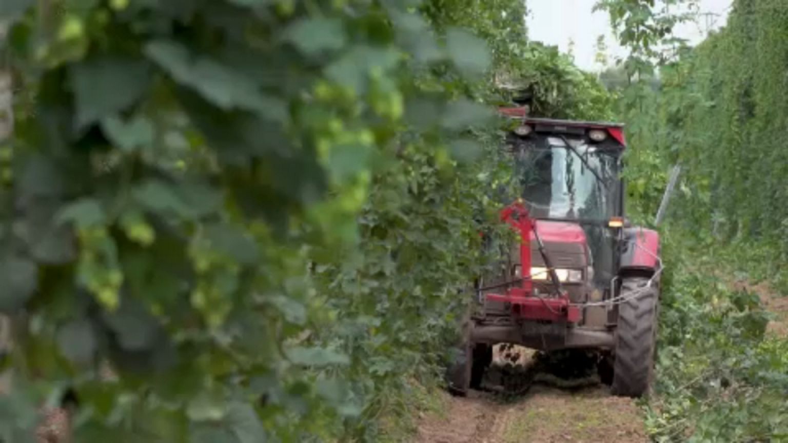 Rischio tagli nella politica agricola comune dopo il 2020