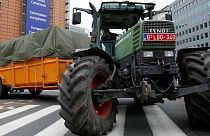 خطر حذف برخی یارانه‌های کشاورزی اروپا برای جبران کاهش بودجه ناشی از برکسیت