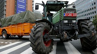 خطر حذف برخی یارانه‌های کشاورزی اروپا برای جبران کاهش بودجه ناشی از برکسیت