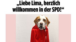German newspaper registers dog to vote in SPD coalition ballot