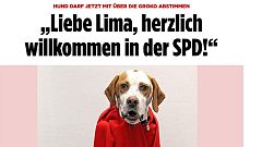 Hund darf jetzt mit über die GRoKO abstimmen