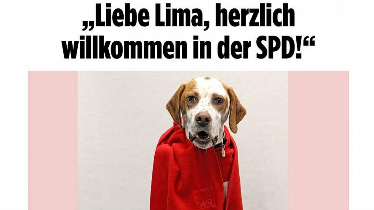 Almanya: Köpeği SPD’ye üye yaptılar 