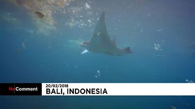 Sokkoló a műanyagszennyezés Bali tengervizében