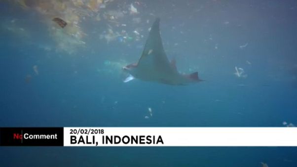 Sokkoló a műanyagszennyezés Bali tengervizében Sokkoló a műanyagszennyezés Bali tengervizében