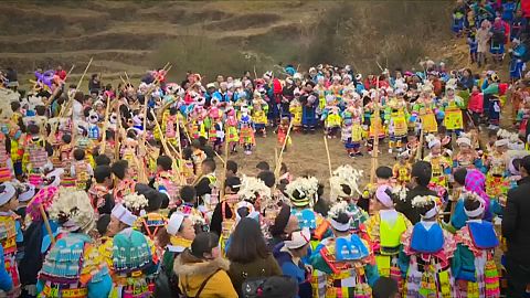 Celebrations for the Chinese Lunar New Year
