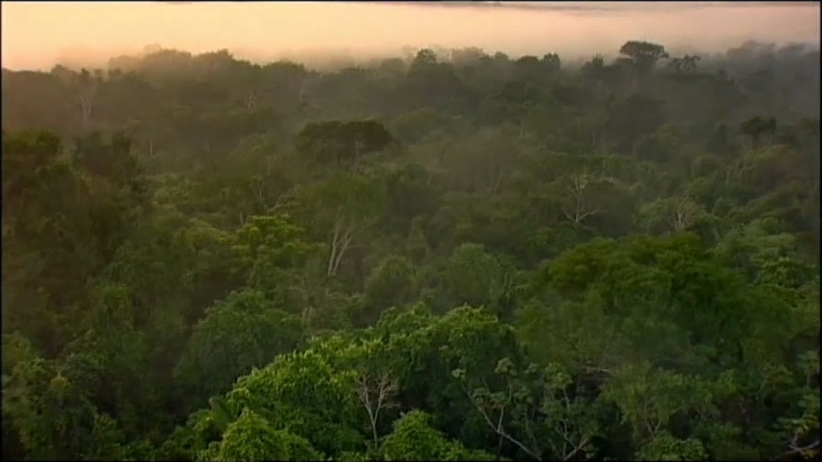 L'Amazonie pourrait atteindre un point de non-retour