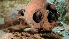Skulls are seen inside the recently discovered burial site in Minya