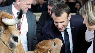 شاهد: نشطاء يستقبلون ماكرون بصيحات الاستهجان أثناء زيارته لمعرض زراعي جنوب باريس