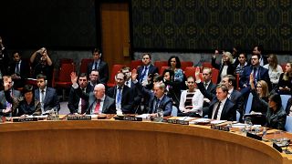 СБ ООН одобрил резолюцию о 30-дневном перемирии в Сирии