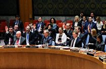 El Consejo de Seguridad pide un alto el fuego humanitario en Siria