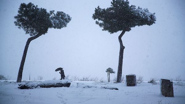Neve a Roma, "a Furio Camillo so' partite le eliminatorie de bob a 4" Neve a Roma, "a Furio Camillo so' partite le eliminatorie de bob a 4"