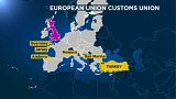 Why have a customs union?