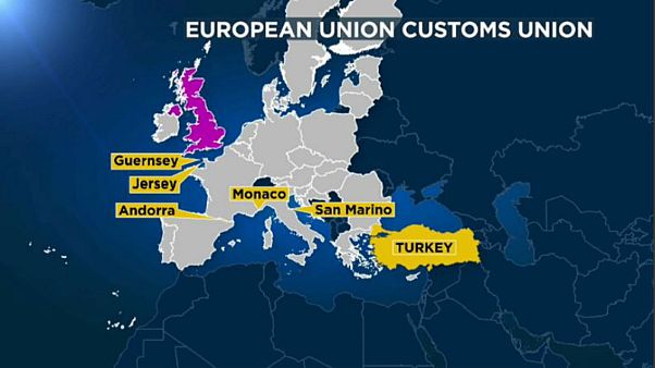 Why have a customs union? Why have a customs union?