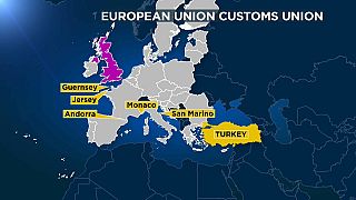 ¿Debe salir el Reino Unido de la Unión Aduanera de la UE?