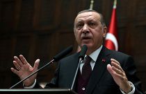 Макрон - Эрдогану: резолюция СБ ООН касается Африна