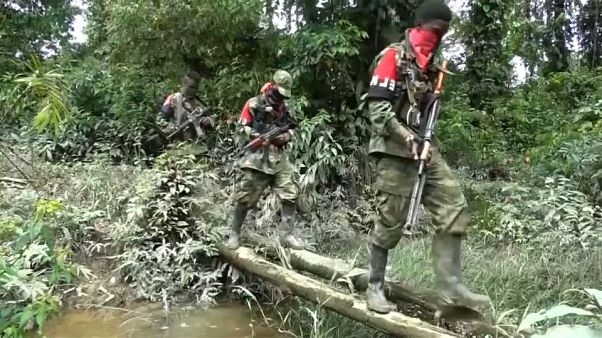 El ELN anuncia un alto el fuego durante las elecciones El ELN anuncia un alto el fuego durante las elecciones