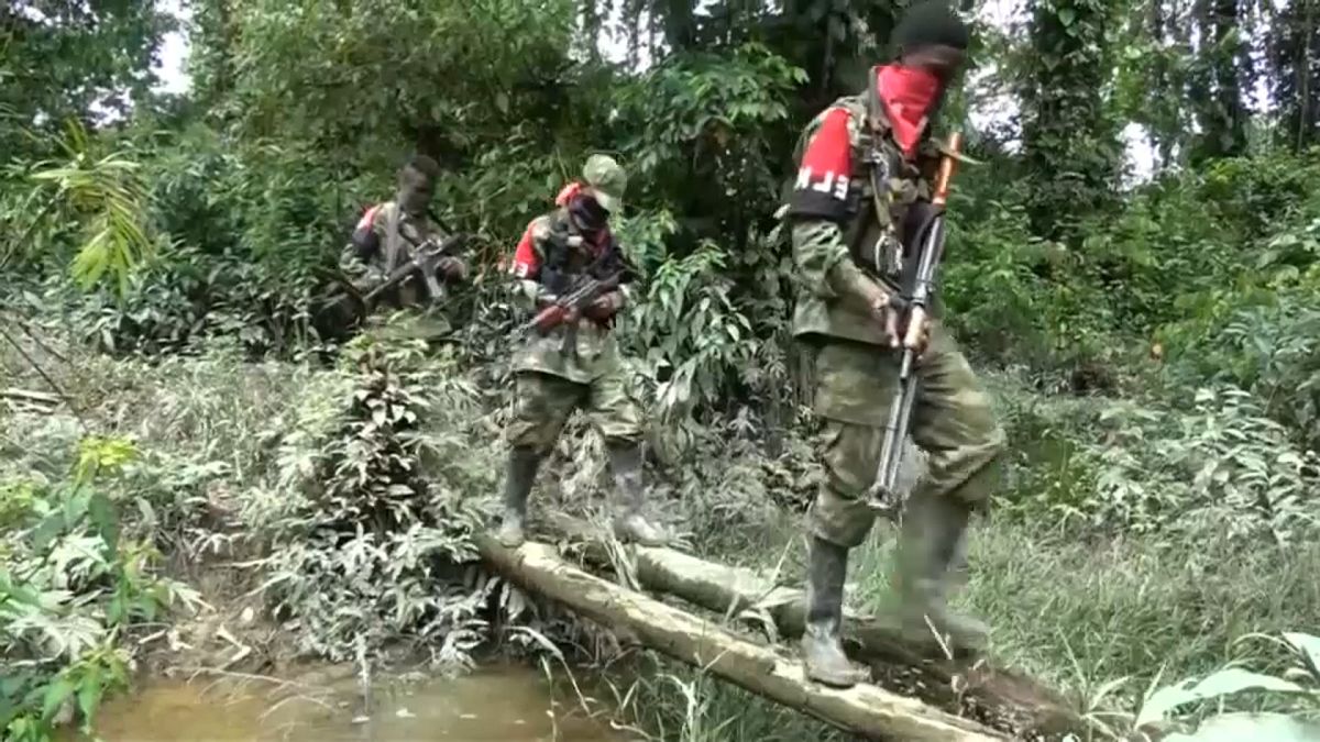 ELN rebels call election ceasefire in Colombia