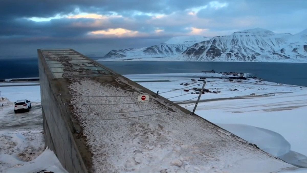 El calentamiento global amenaza las semillas de Svalbard