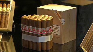 Küba purosu satışları rekor kırdı