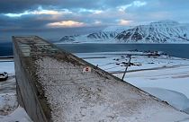 Arche de Noé du Svalbard : un million d'espèces végétales à l'abri 