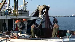 La justicia europea excluye el Sáhara Occidental del acuerdo pesquero con Marruecos