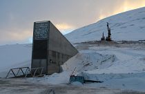 Gut gekühlt: Spitzbergens Samenbank