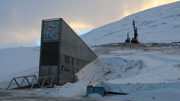 Gut gekühlt: Spitzbergens Samenbank Gut gekühlt: Spitzbergens Samenbank