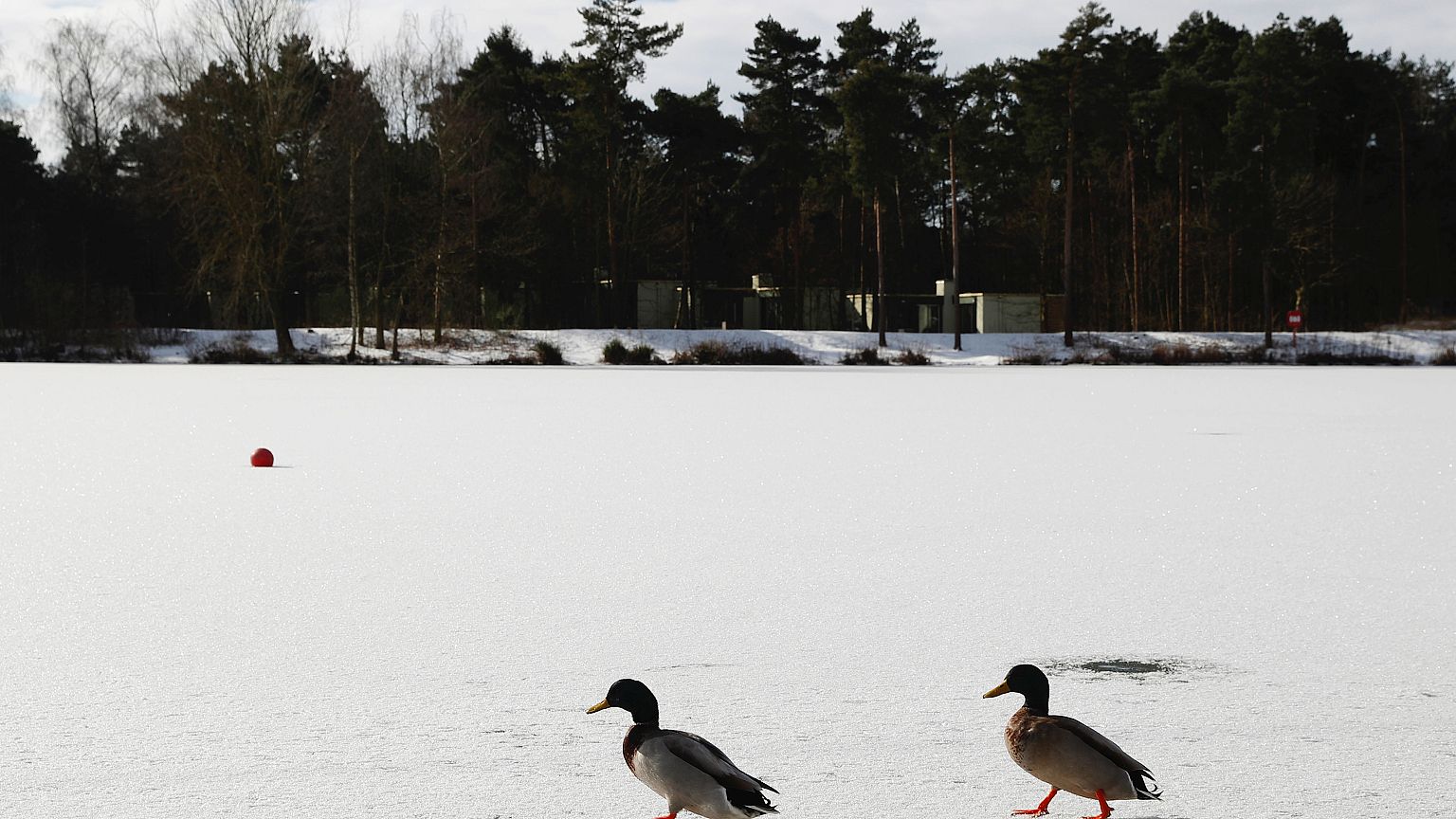 "The Beast from the East": Frostiges Wetter dauert an