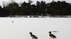 "The Beast from the East": Frostiges Wetter dauert an