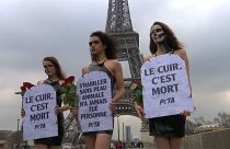Models brave Paris chill to protest against leather