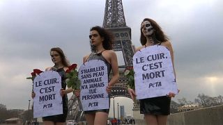 Models brave Paris chill to protest against leather